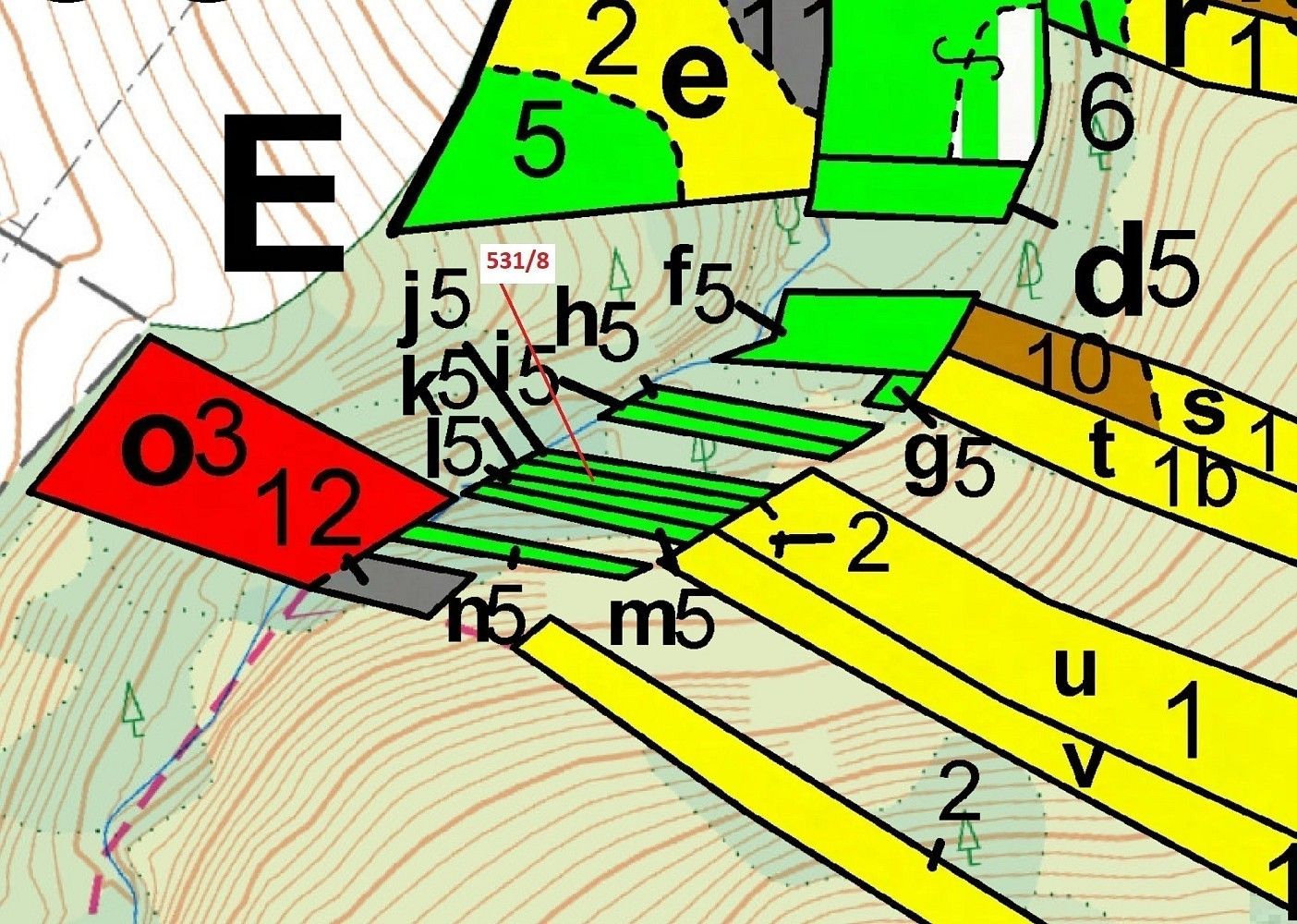 Les · Vysoká, okres Havlíčkův Brod, Kraj Vysočina - 3
