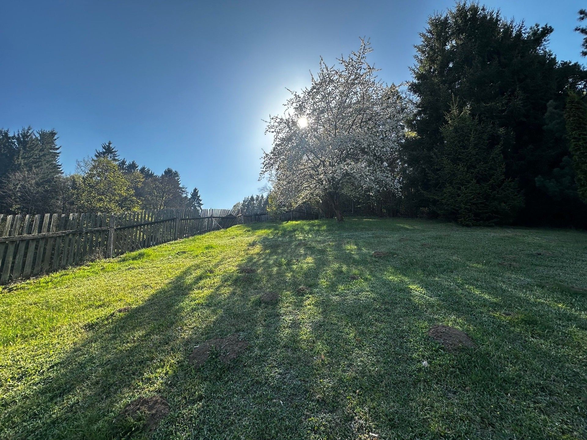 Pozemek pro bydlení · 3 706 m² · Stříbrná Skalice - 3