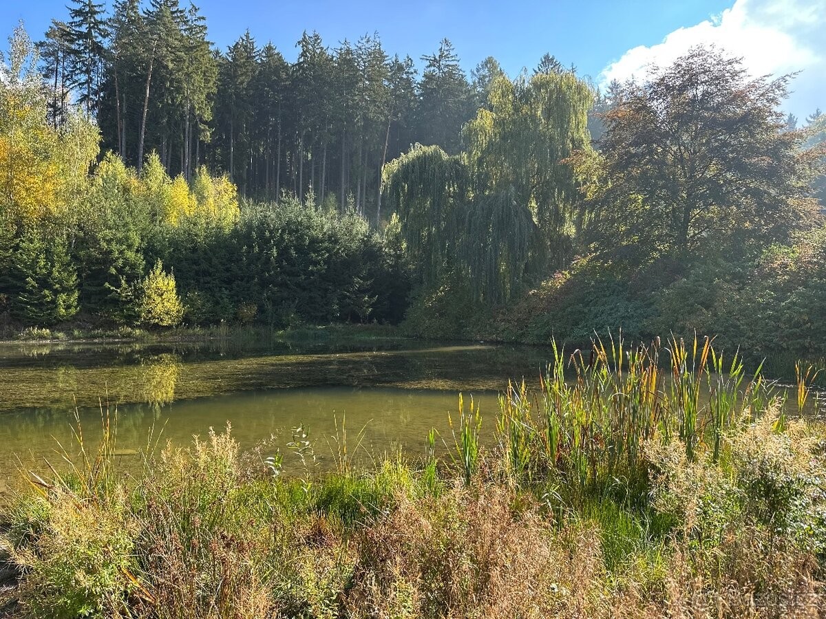 Chata · Česká Třebová, 560 02 - 3