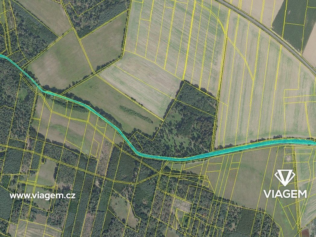 Prodej les - Sokoleč, okres Nymburk, Středočeský kraj - 5
