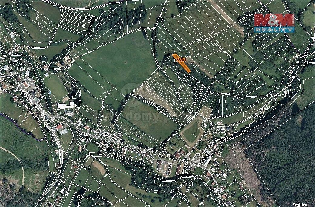 Les · Rajnochovice, okres Kroměříž, Zlínský kraj - 3