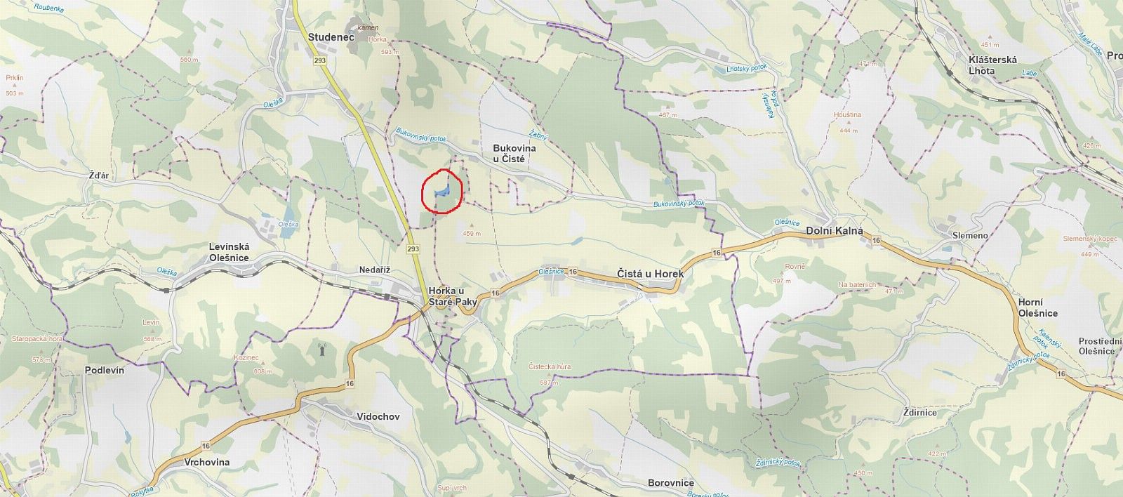 Les · Bukovina u Čisté - Dražeň, okres Semily, Liberecký kraj - 3