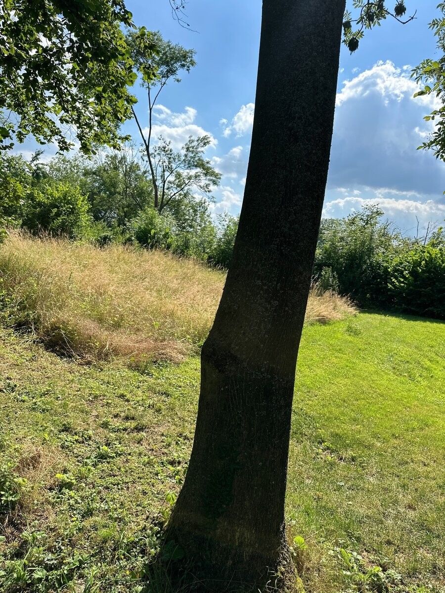 Prodej chata - Holice v Čechách, 534 01, 2 209 m²