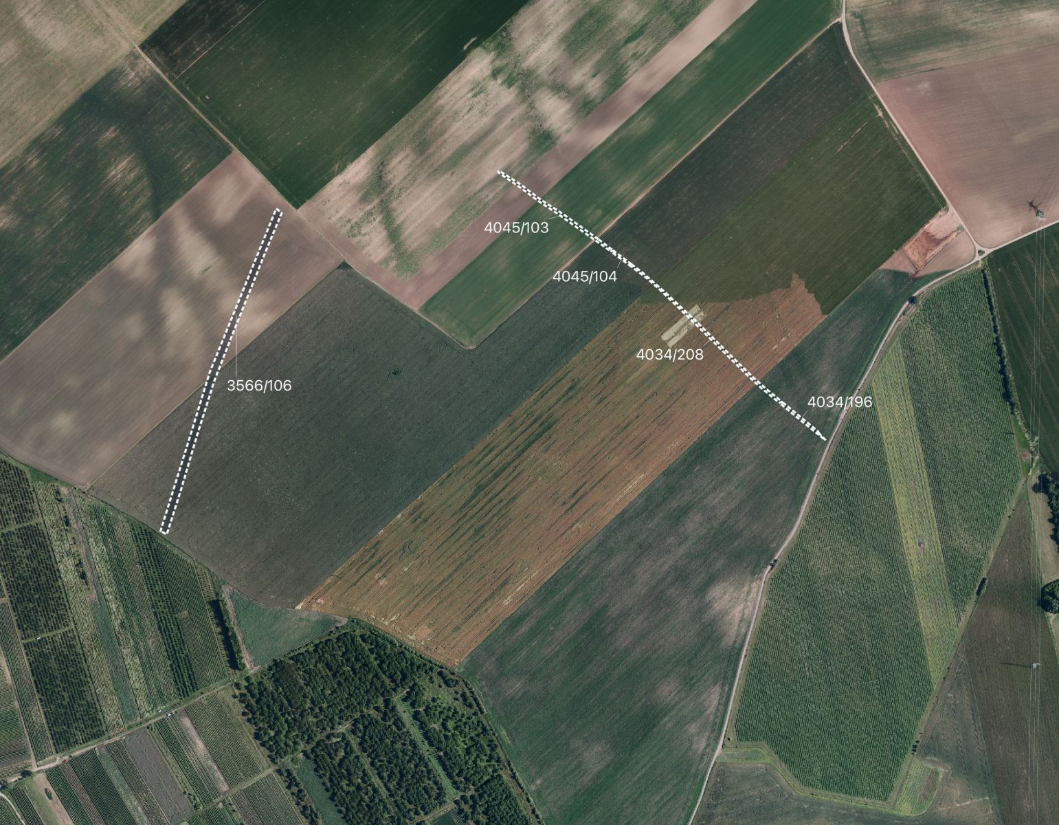 Prodej zemědělský pozemek - Čejkovice - 2
