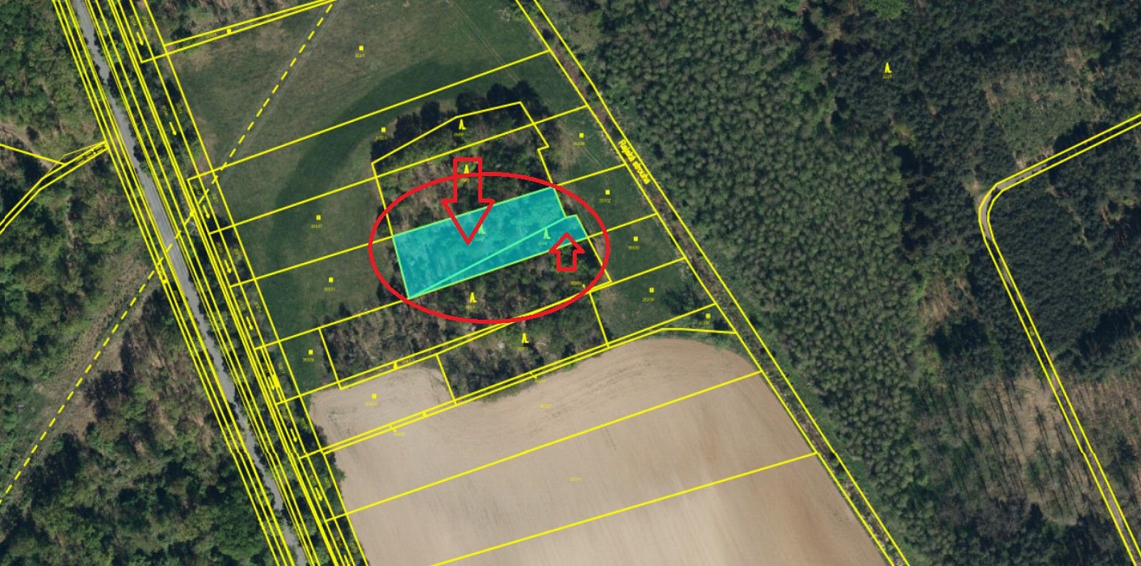 Les, 890 m²