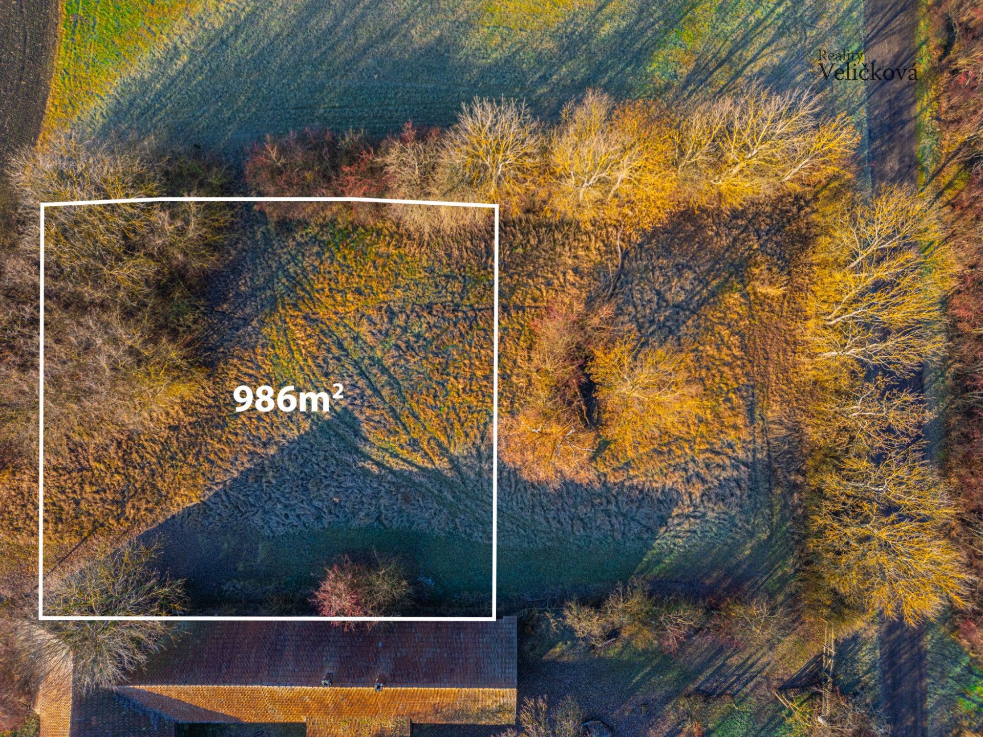 Prodej pozemek pro bydlení - Běchary, 986 m²