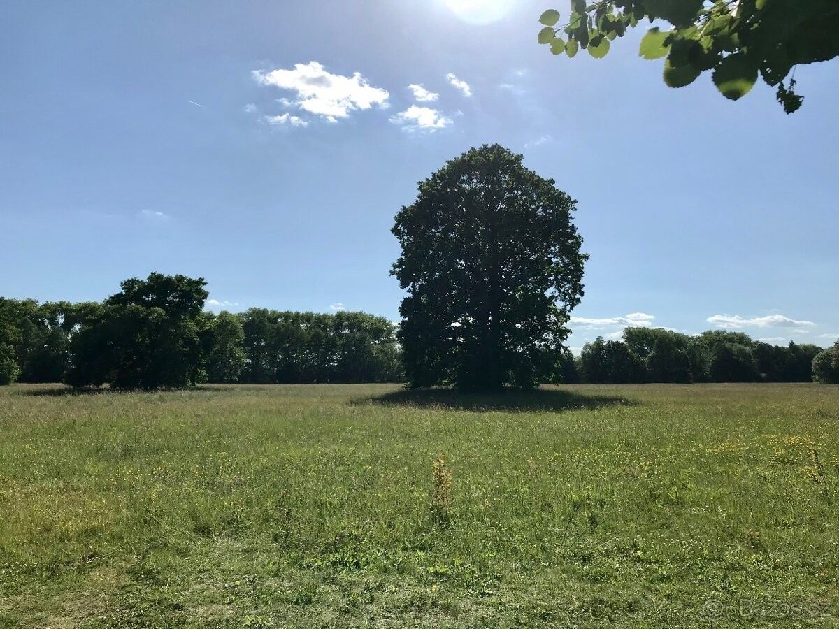 Ostatní, Hradec Králové, 500 03, 21 623 m²