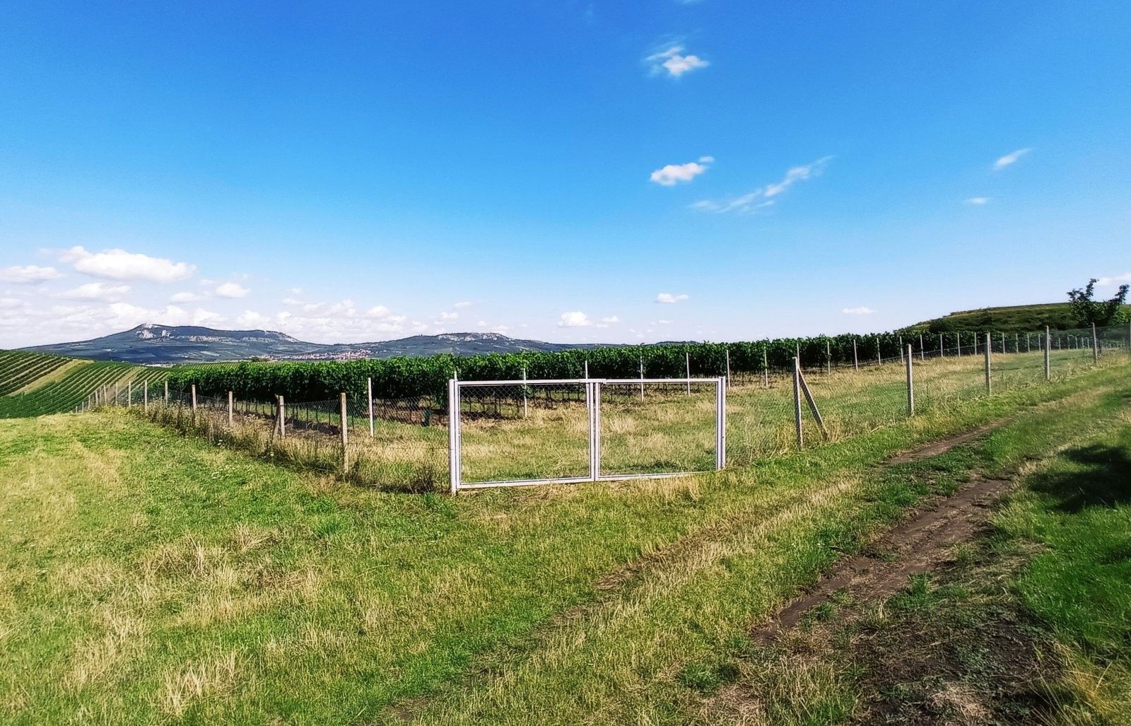 Ostatní, Hlavní 88, Dolní Dunajovice, 90 769 m² - 2