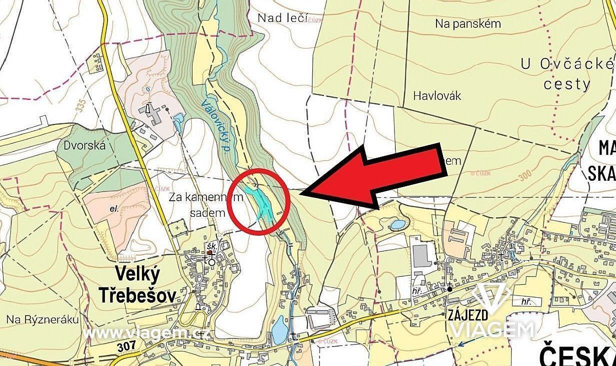 Les · Velký Třebešov, okres Náchod, Královéhradecký kraj - 3