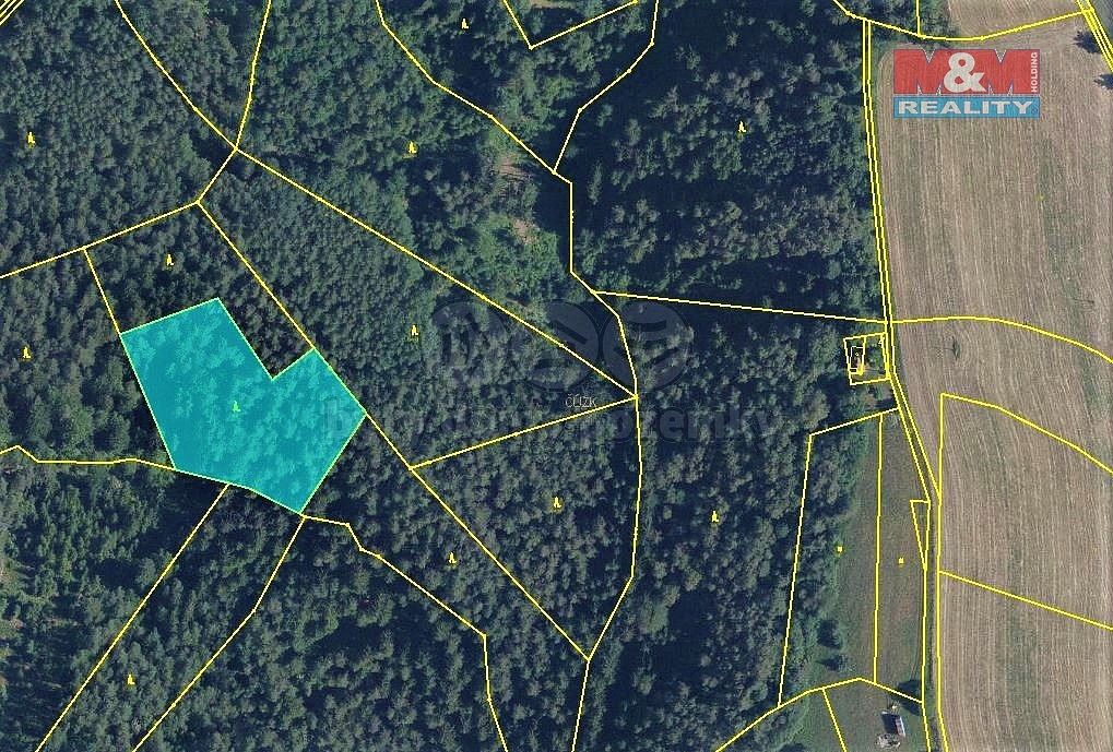 Les · Všelibice, okres Liberec, Liberecký kraj - 4