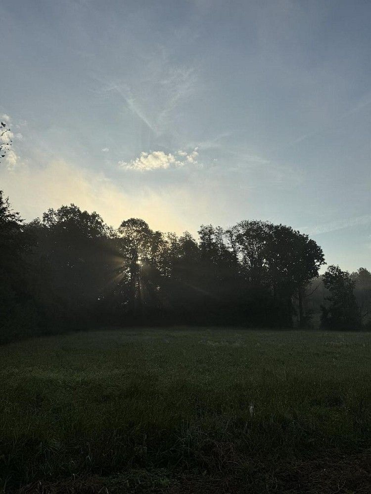 Pozemek · Vršovka - Dobříč - 3