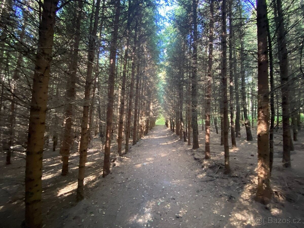 Pozemky pro bydlení, Lánov, 543 41