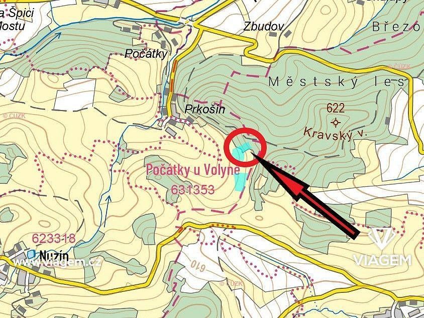 Les · Čestice, okres Strakonice, Jihočeský kraj - 4