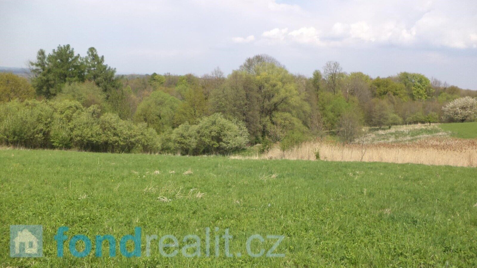 Prodej zemědělský pozemek - Chotěbuz, 8 787 m² - 5