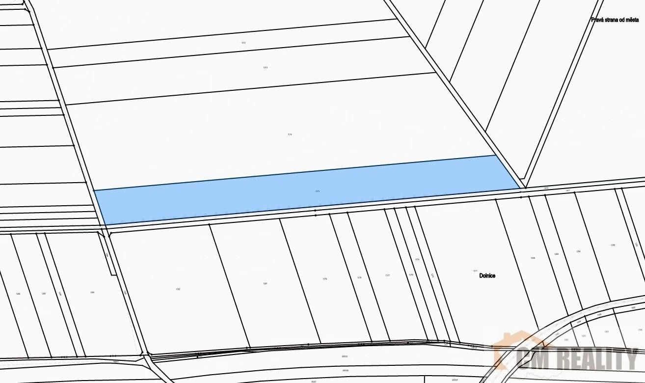 Prodej zemědělský pozemek - Lešany