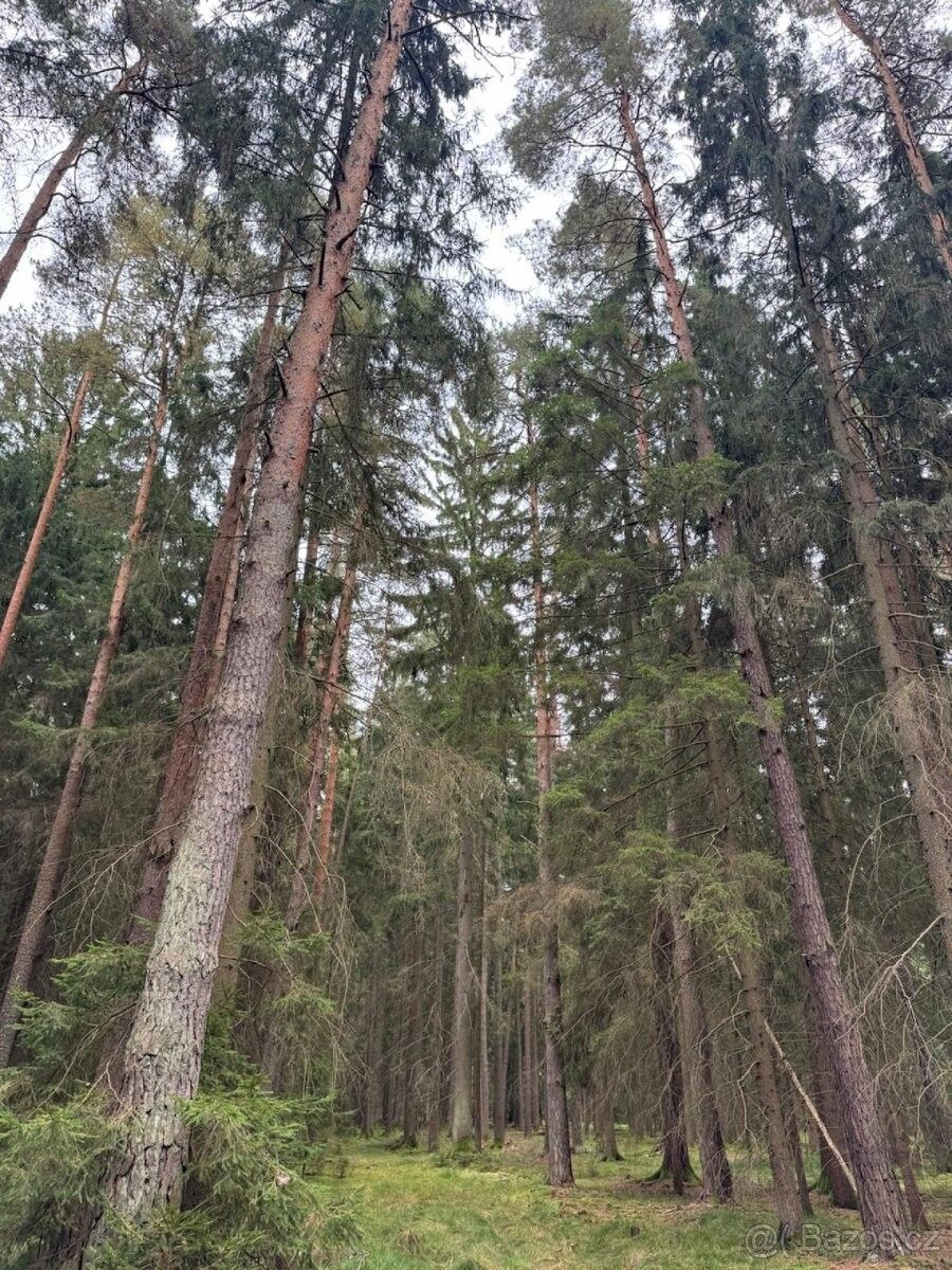 Prodej pozemek pro bydlení - České Budějovice, 370 06