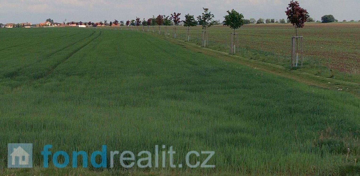 Ostatní, Radonice, 4 552 m² - 1