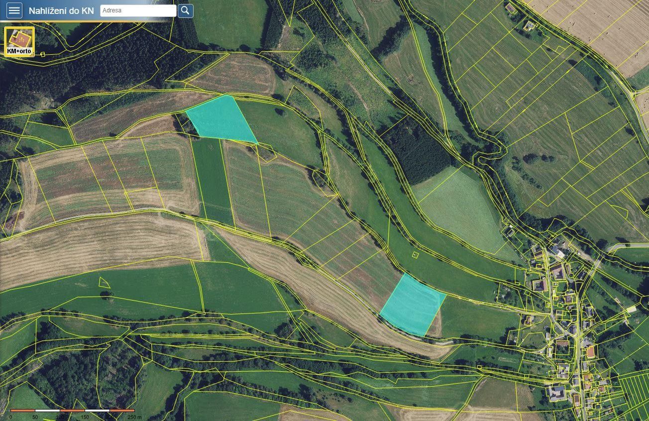 Zemědělské pozemky, Borovnice, 17 939 m² - 2