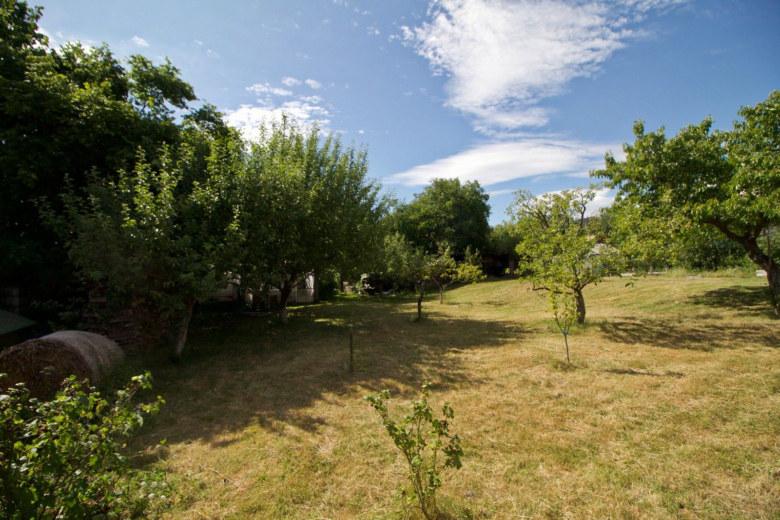 Prodej pozemek pro bydlení - Blatnice, 1 m²