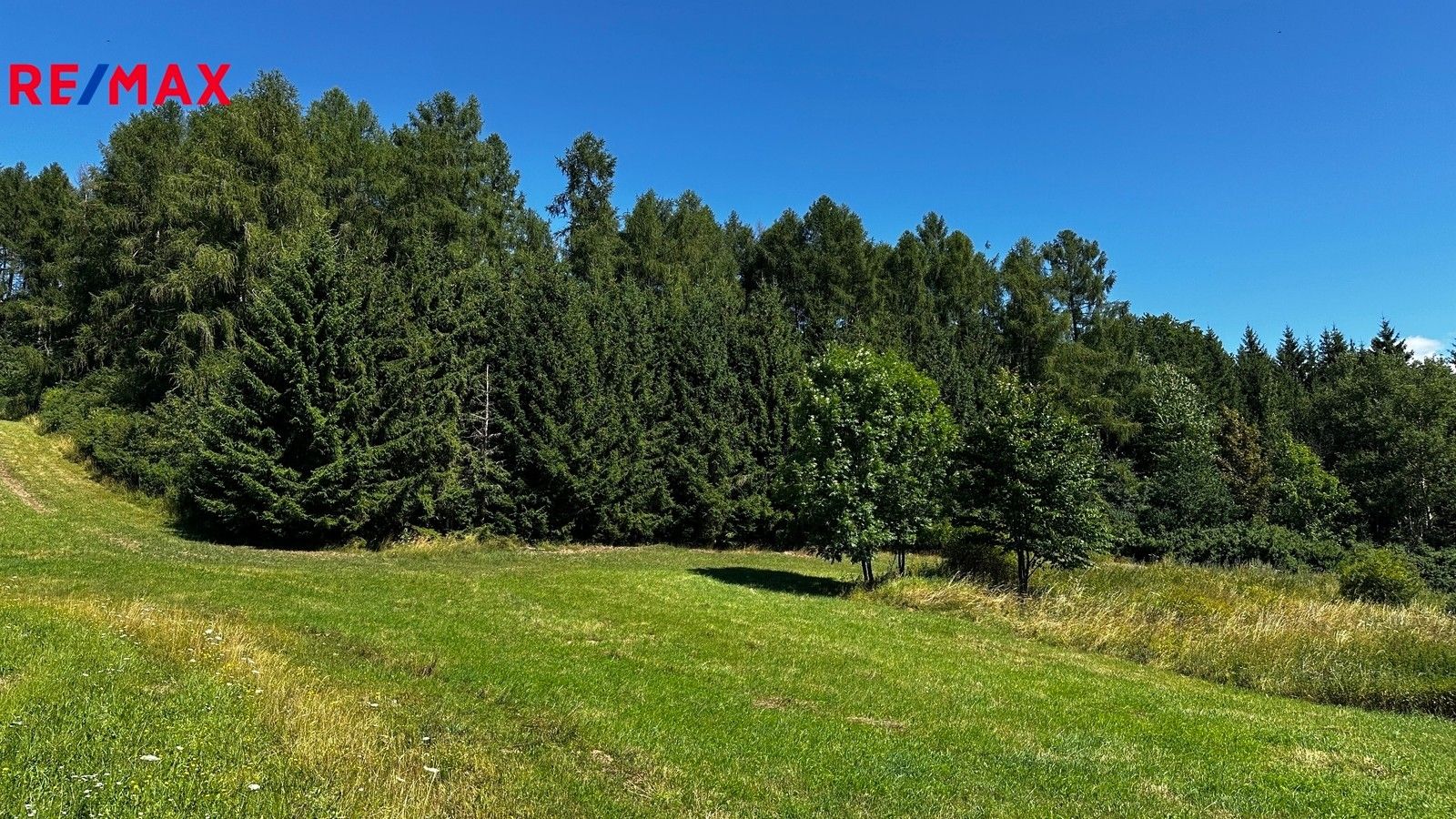 Prodej les - Nezdice na Šumavě, 17 m²