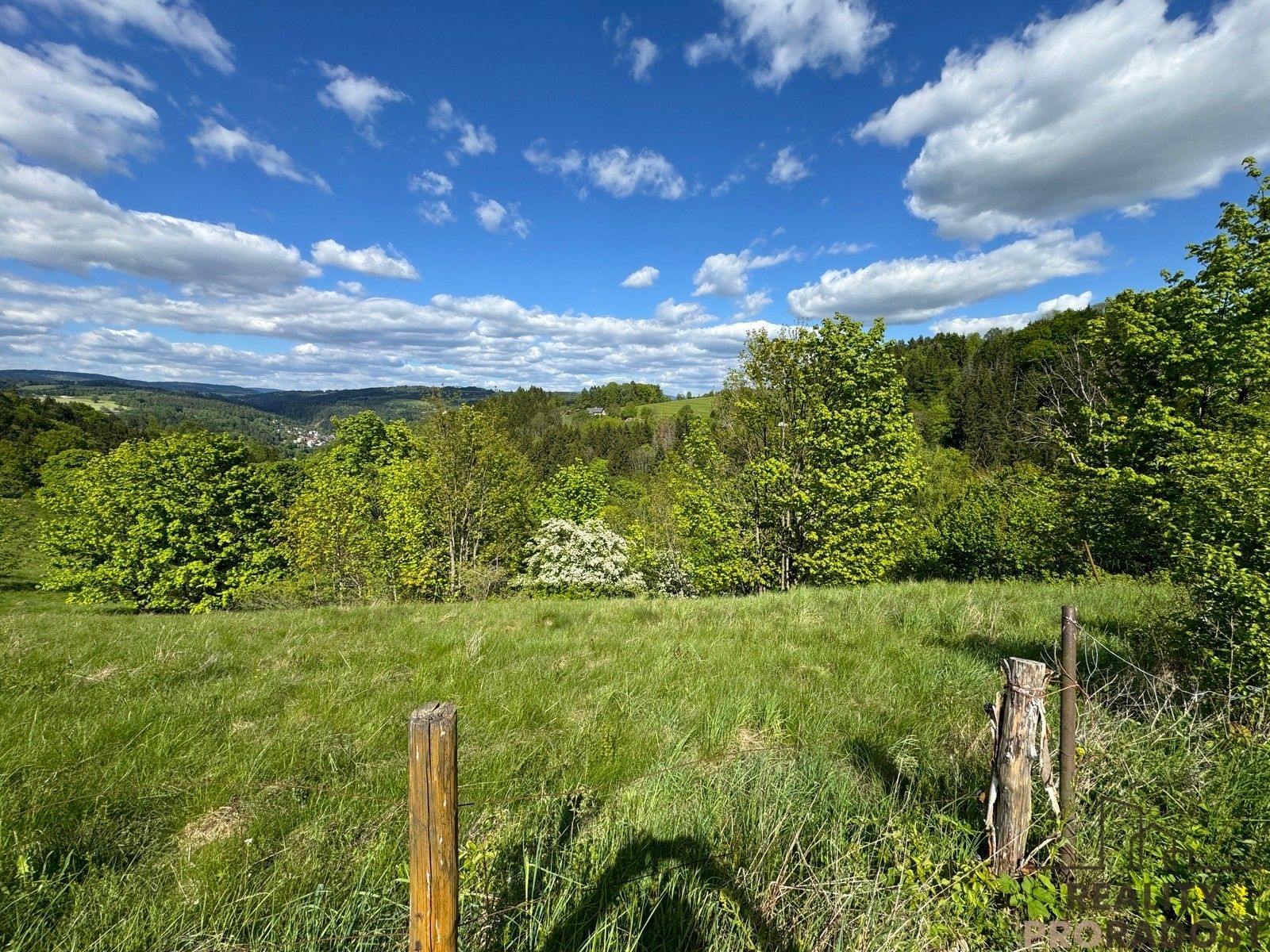 Prodej louka - Koberovy, 571 m²