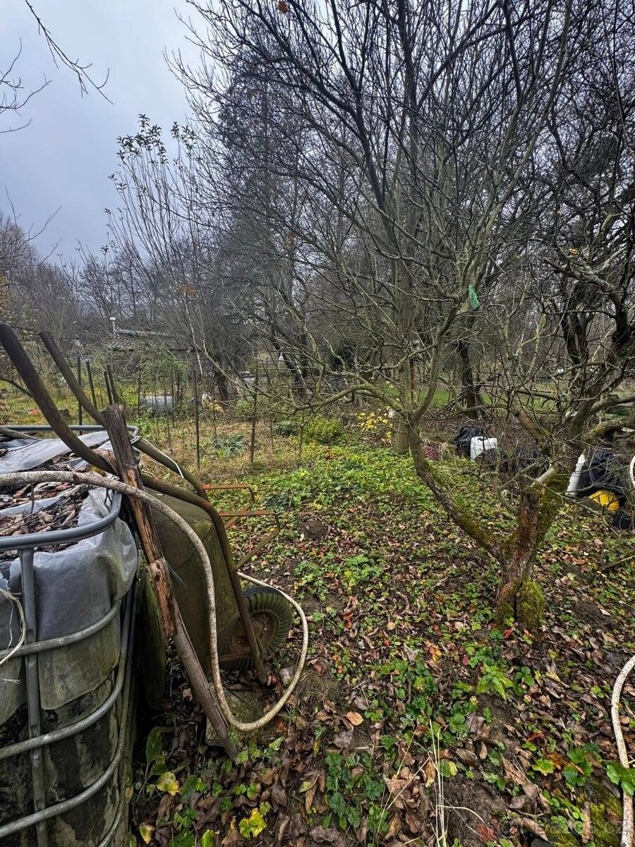 Prodej zahrada - Hranice, 753 01