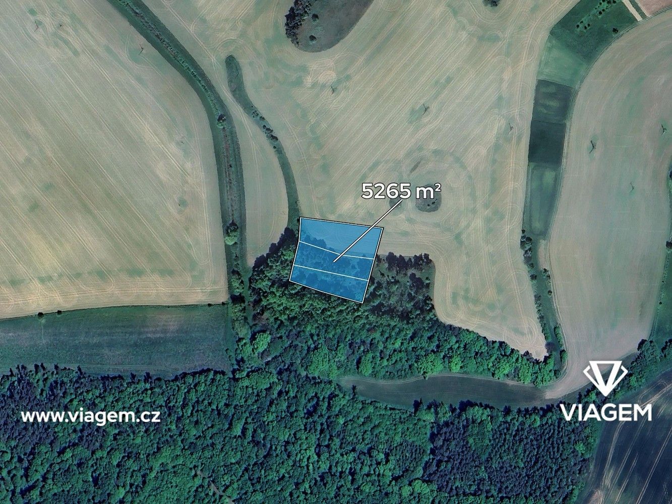 Zemědělské pozemky, Hostim, okres Znojmo, Jihomoravský kraj - 2