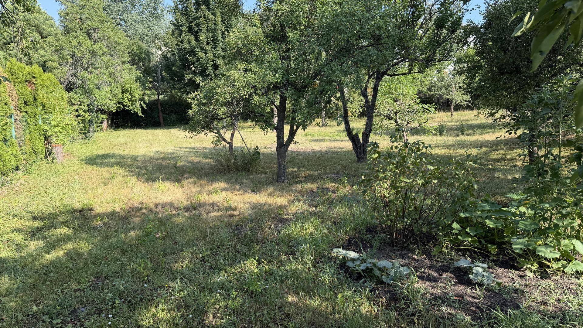 Prodej pozemek pro bydlení - Sportovní, Zastávka, 812 m² - 5