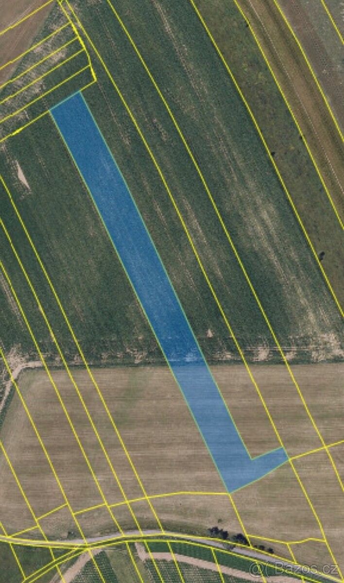 Pozemky pro bydlení, Velká Losenice, 592 11