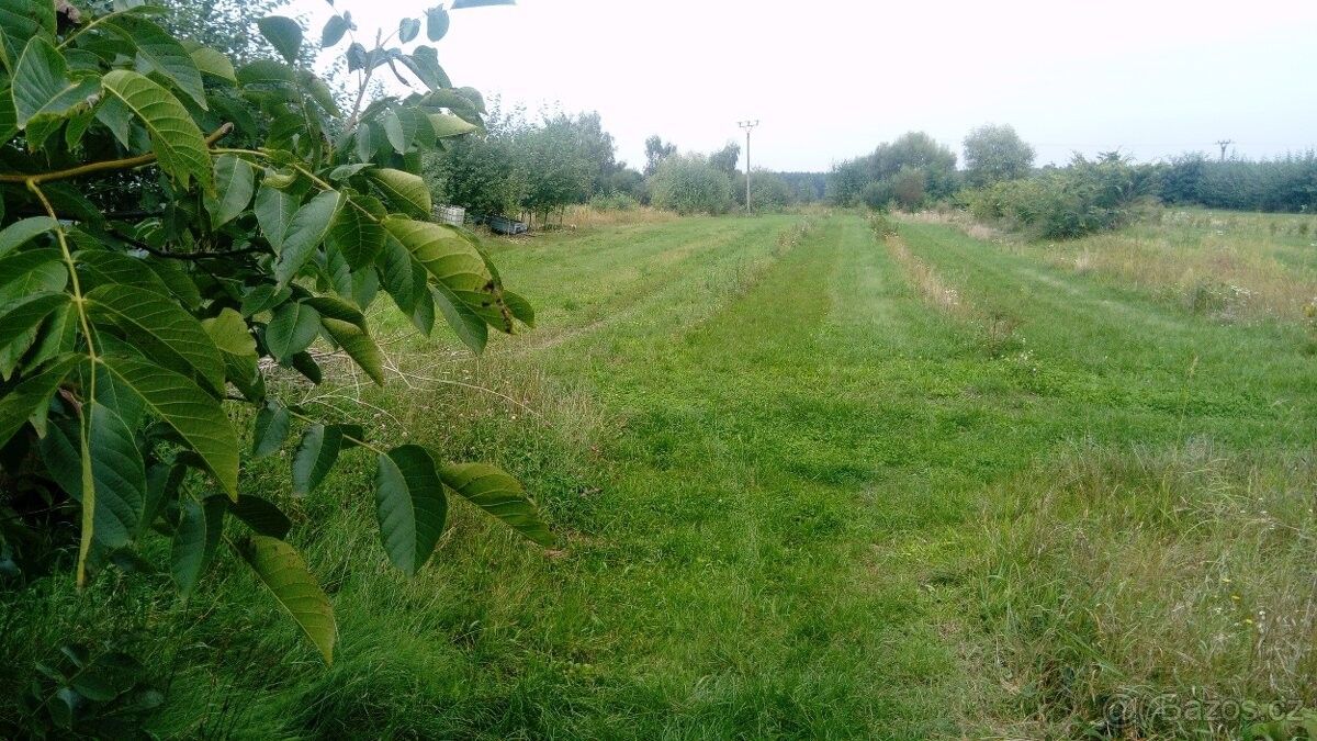 Pronájem pozemek pro bydlení - Hlavečník, 533 15