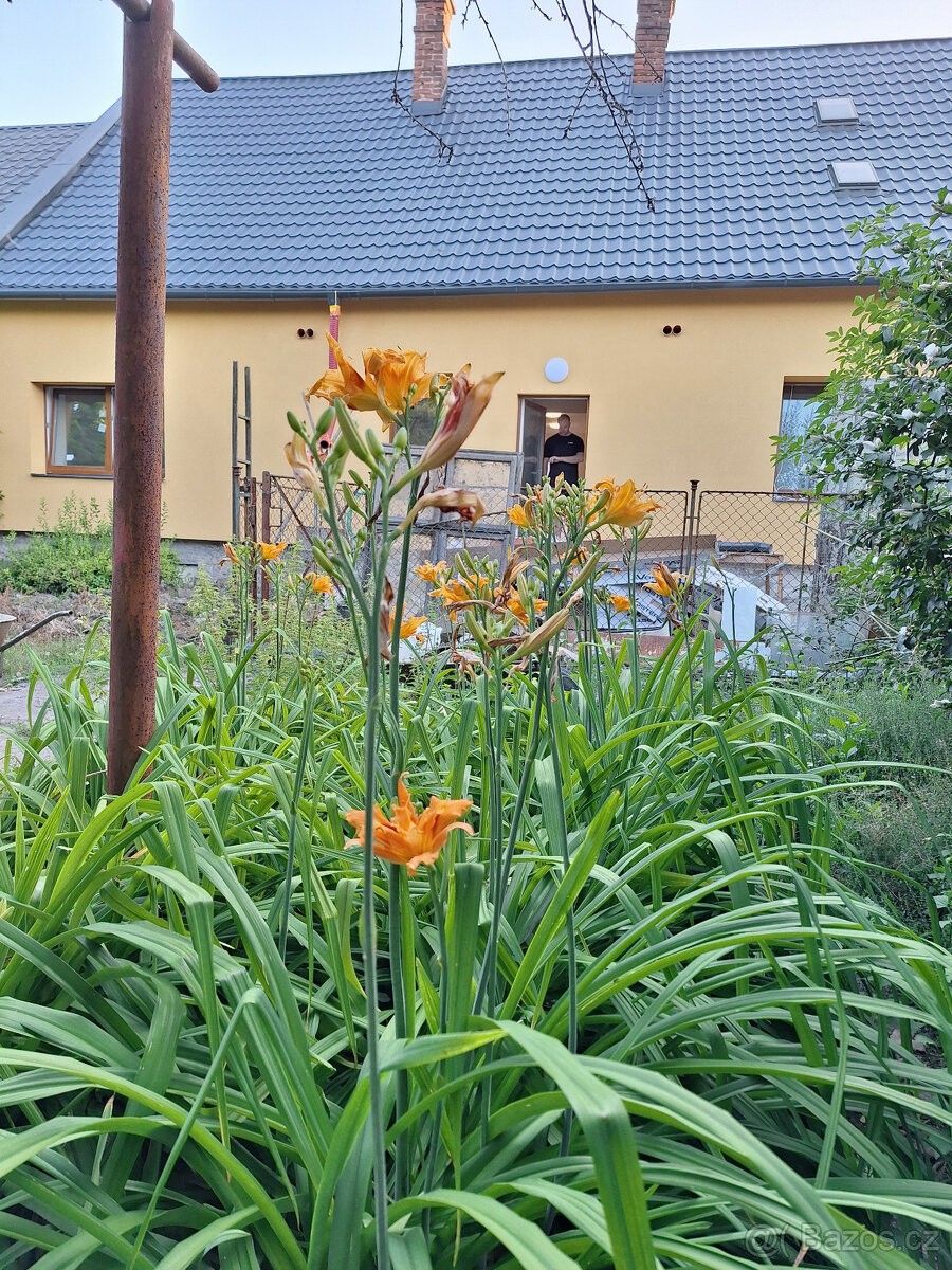 Rodinný dům · Šternberk, 785 01 - 3