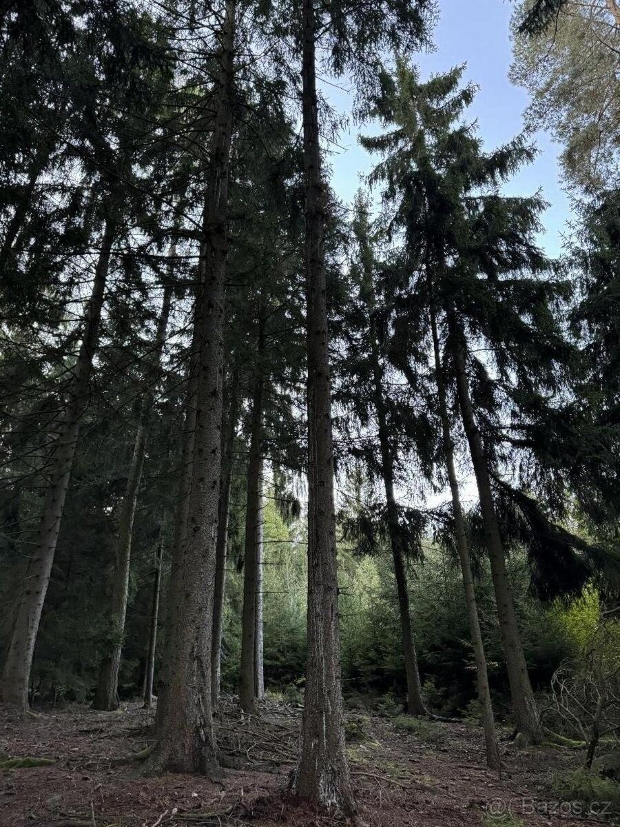 Pozemky pro bydlení, Trhové Sviny, 374 01