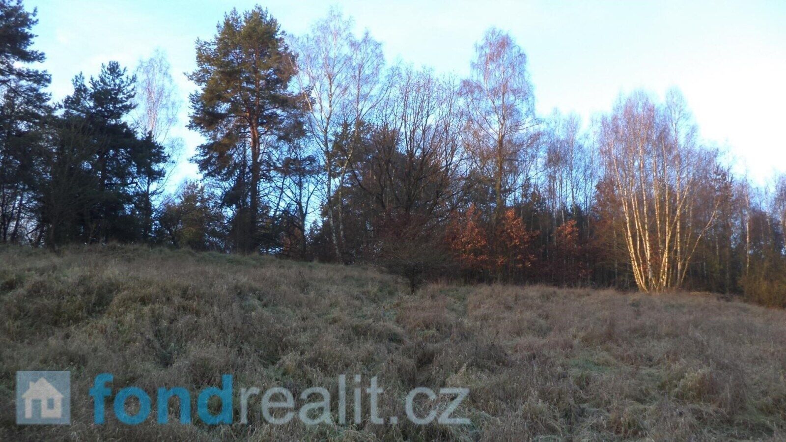 Zemědělské pozemky, Blíževedly, 52 m²