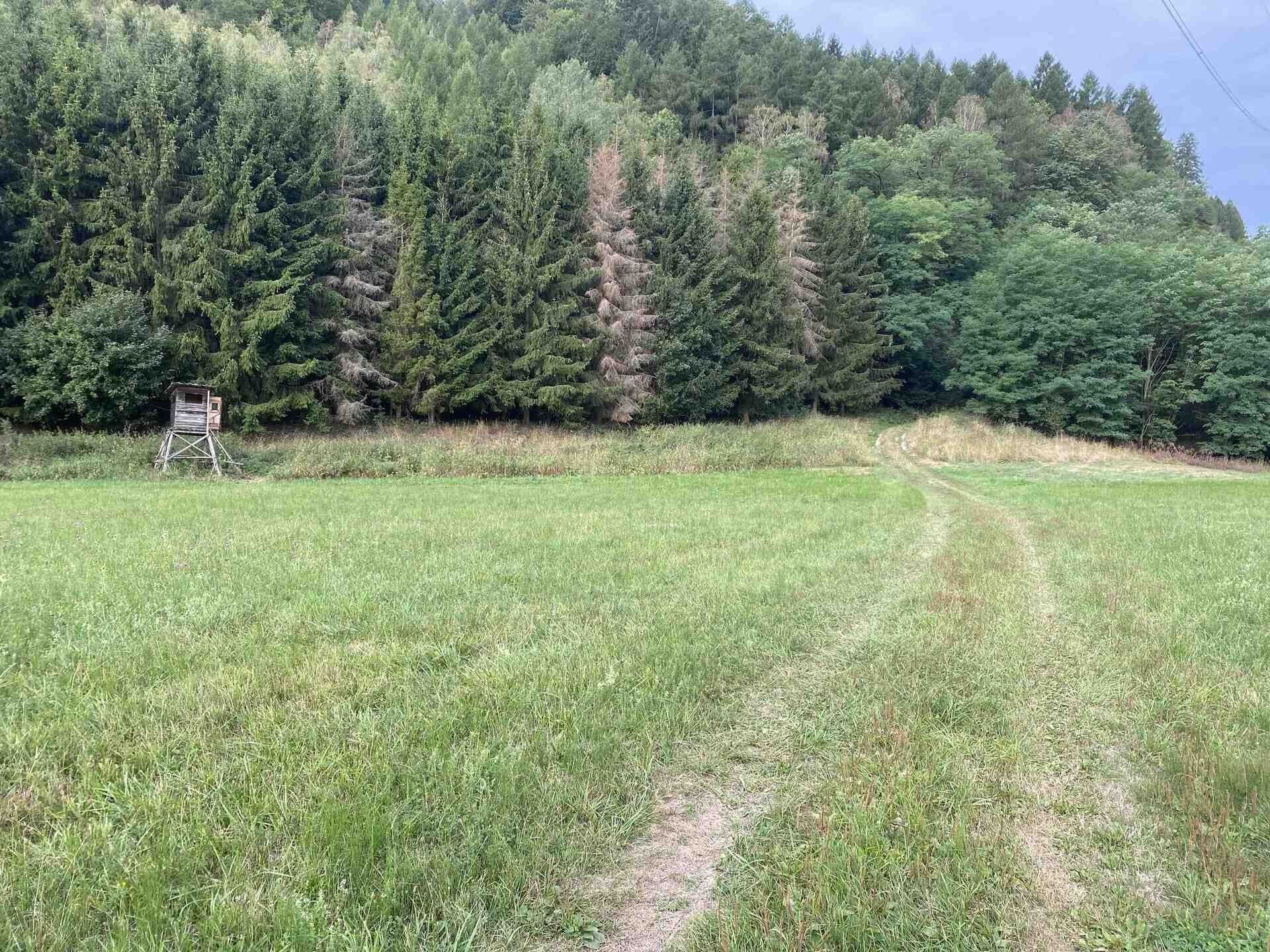 Zemědělský pozemek, 2 289 m²
