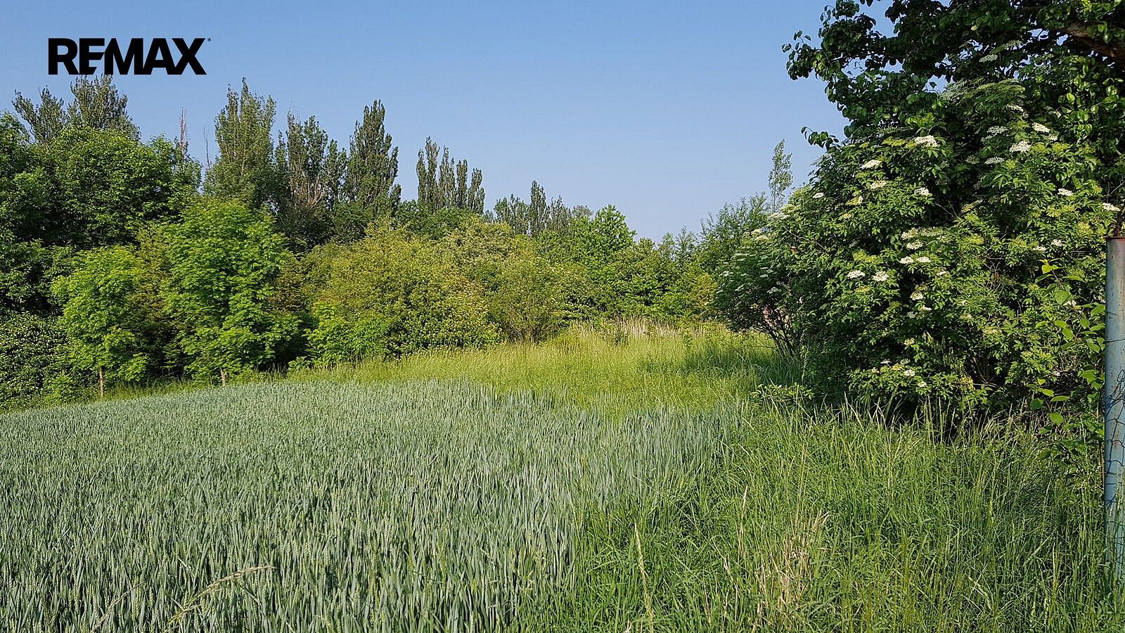 Prodej pozemek - Hospozín, okres Kladno, Středočeský kraj - 5