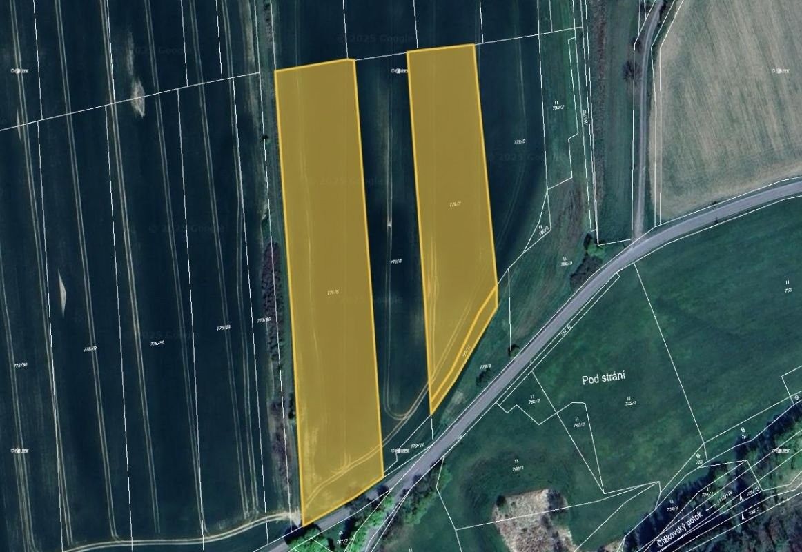 Prodej zemědělský pozemek - Sedliště, 26 130 m²