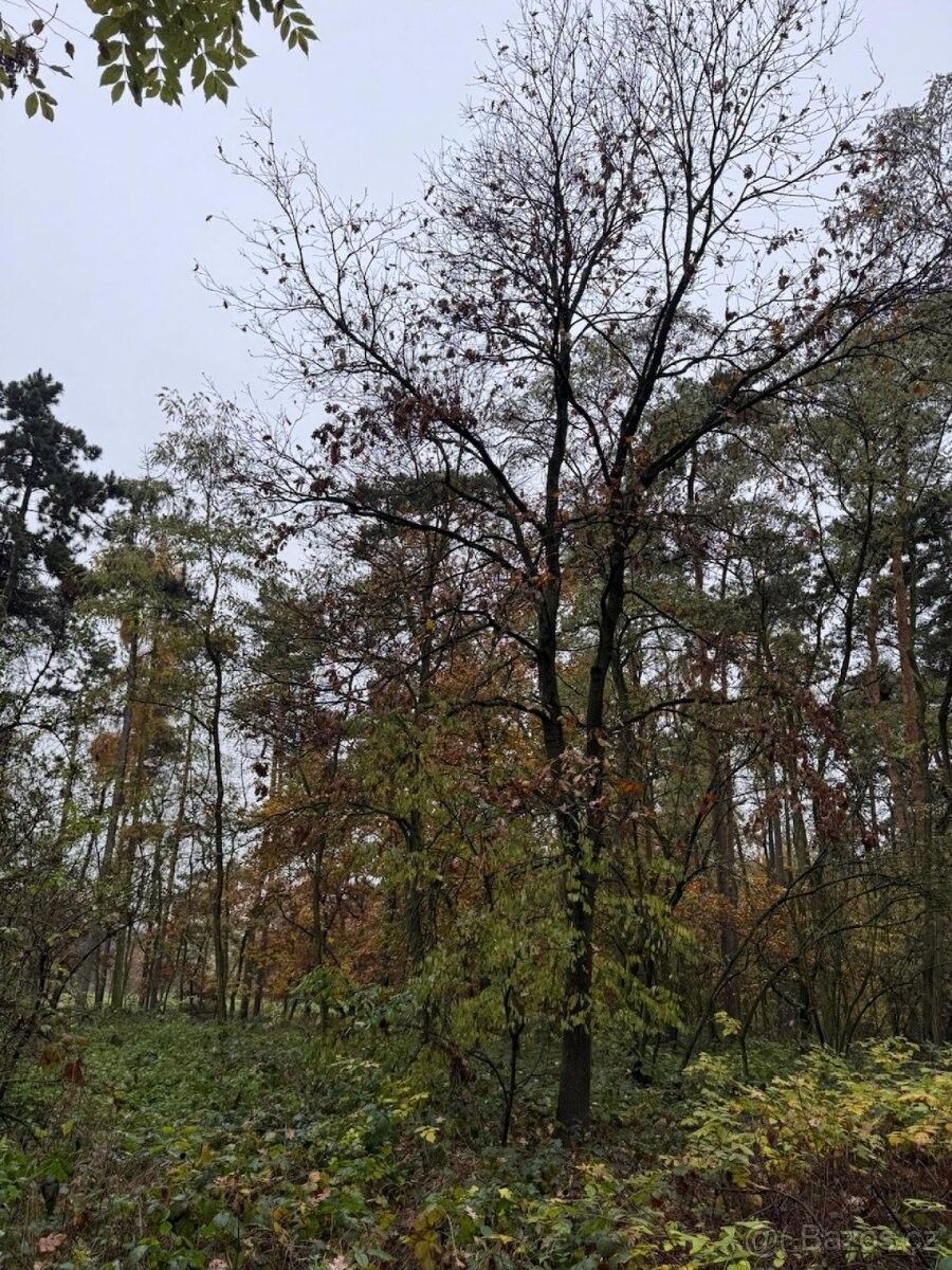 Pozemky pro bydlení, Roudnice nad Labem, 413 01