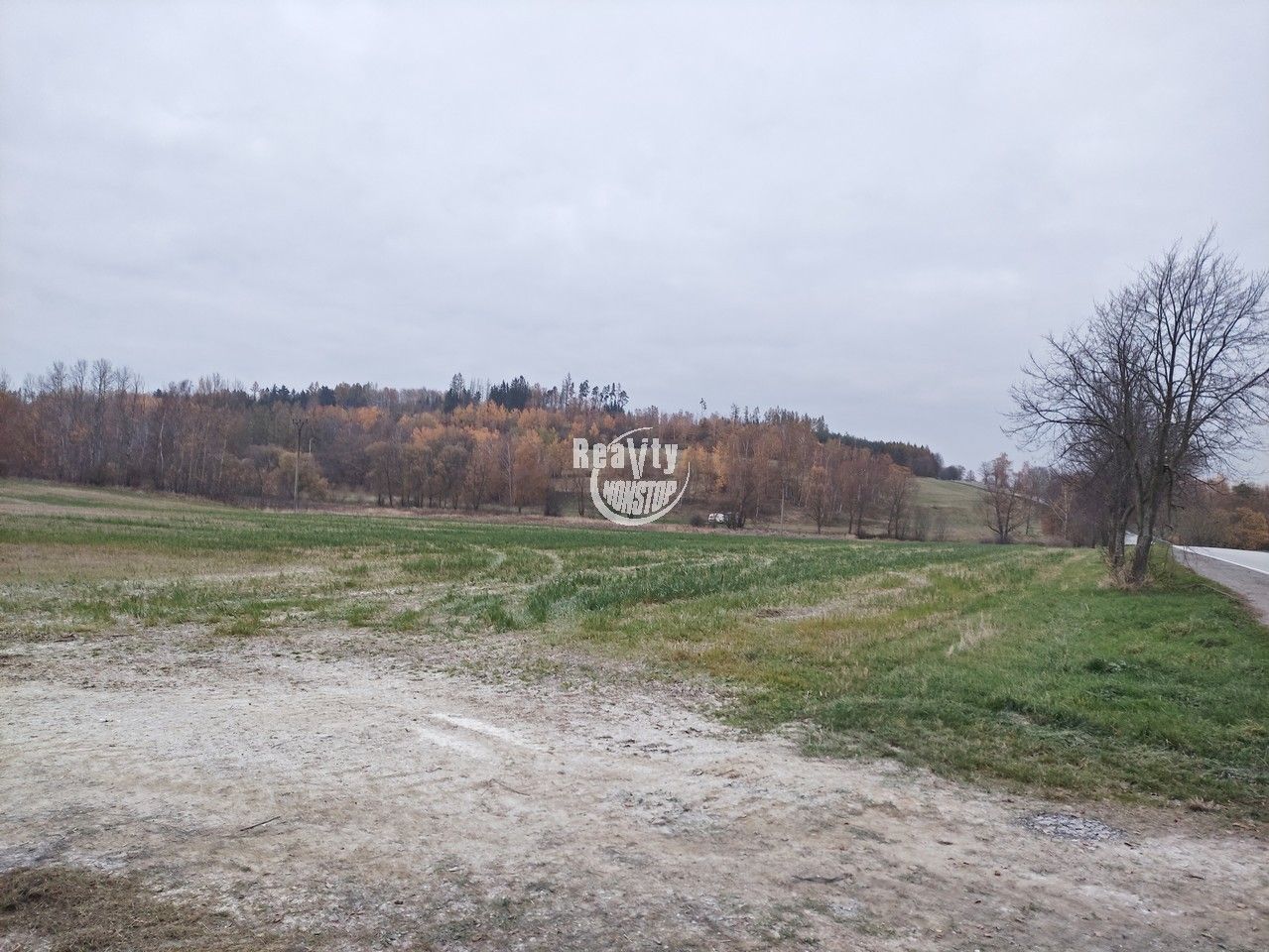 Prodej zemědělský pozemek - Batelov, 10 m²