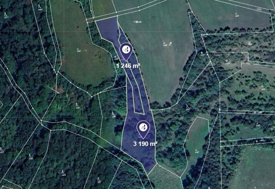 Lesy, Vysoká - 1
