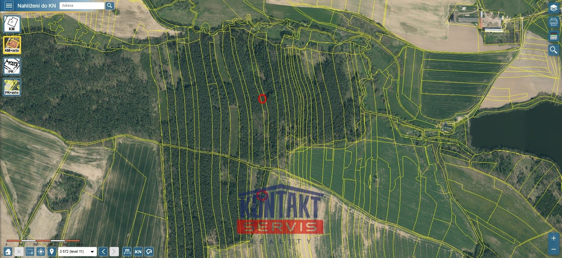 Prodej les - Třebějice