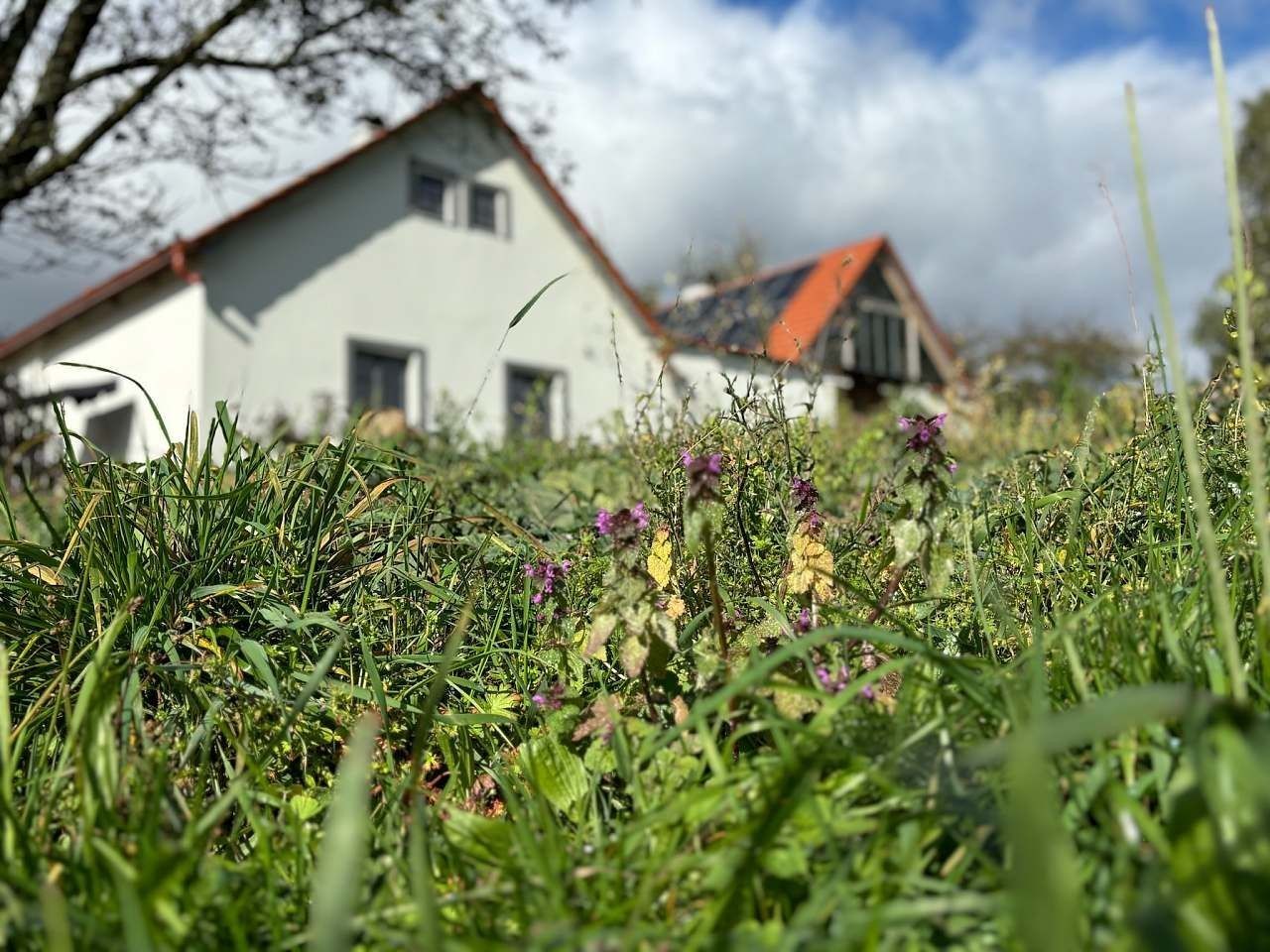 Chaty, Horní Radouň - Horní Radouň, Jihočeský kraj