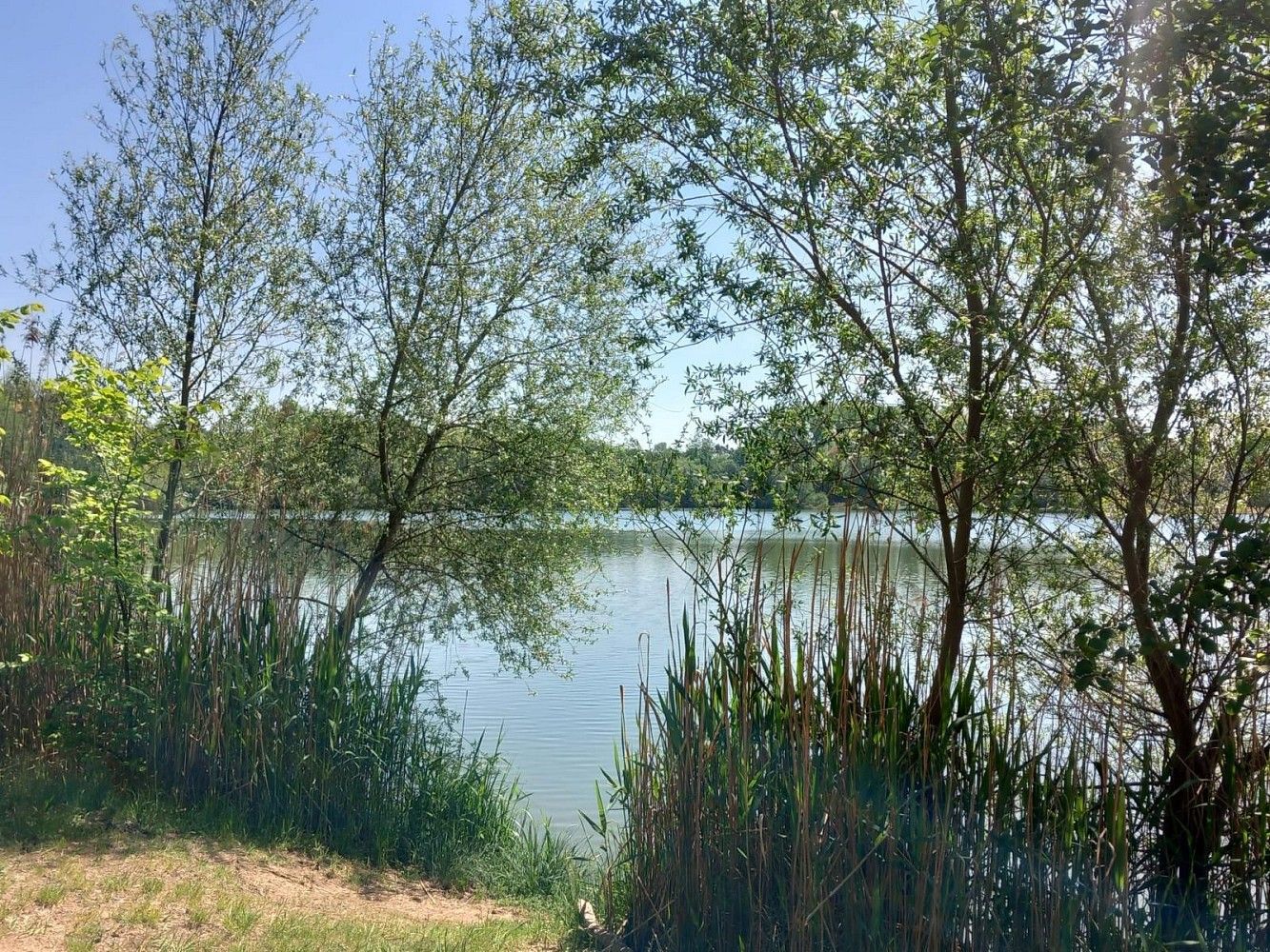 Chalupy, Na Vodrážce, Sadská, okres Nymburk, 36 m² - 2