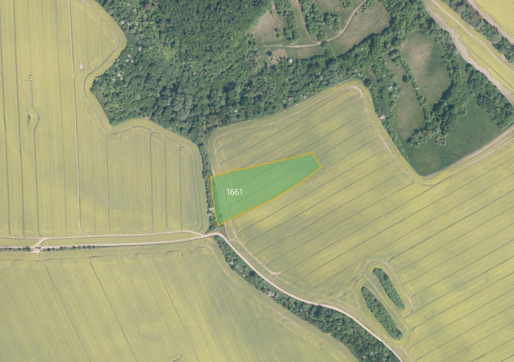 Zemědělské pozemky, Traplice