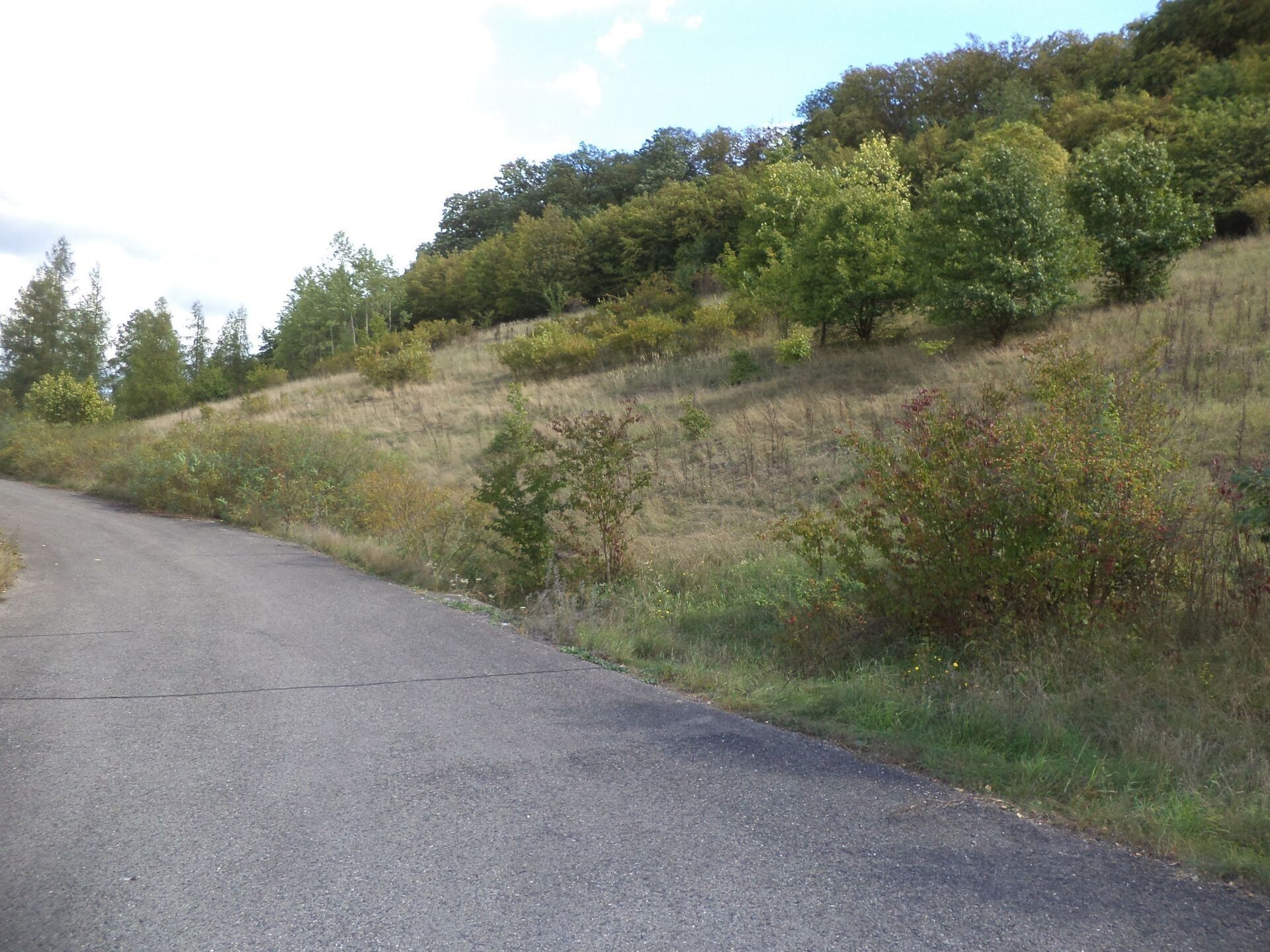 Prodej zemědělský pozemek - Stadice, Řehlovice, 1 m²