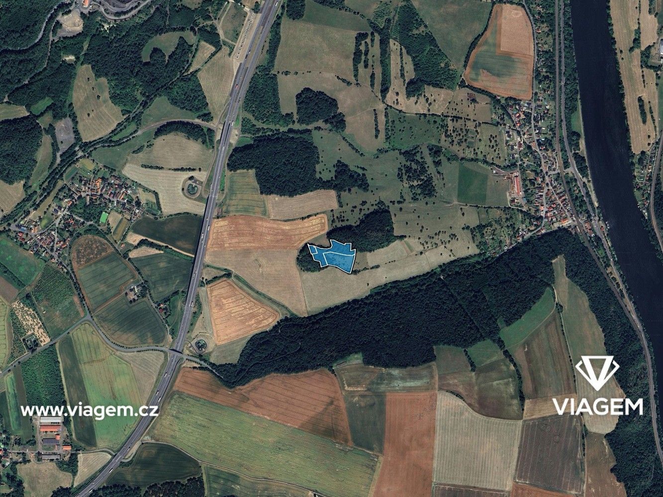 Les · Prackovice nad Labem, okres Litoměřice, Ústecký kraj - 3