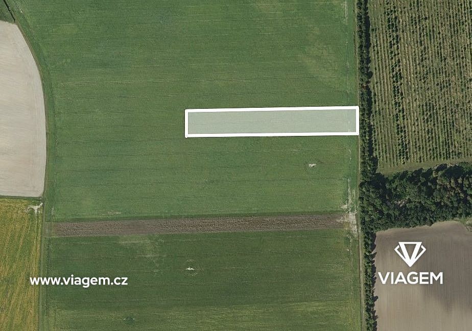 Zemědělský pozemek, 1 236 m²