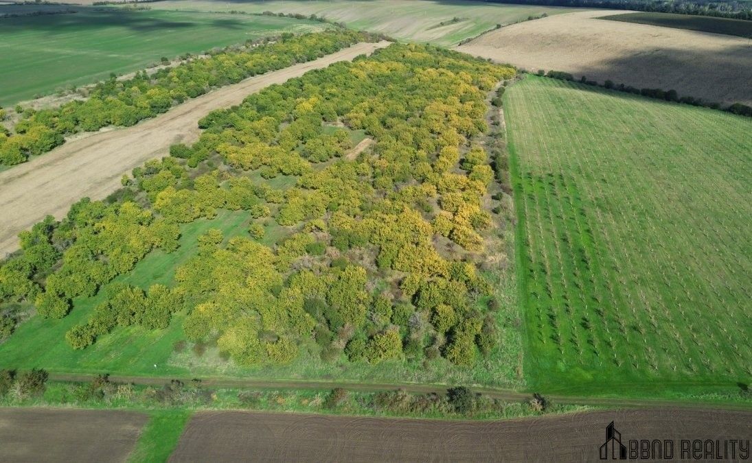 Prodej pozemek - Hustopeče, 22 292 m²