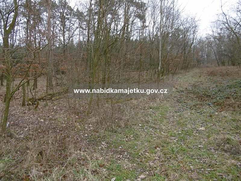 Prodej pozemek - Jiřice, okres Nymburk - 5