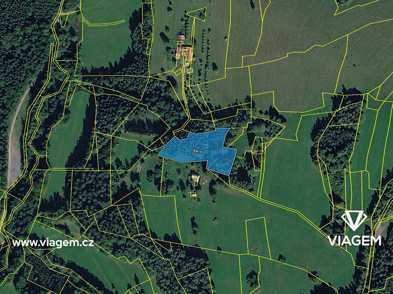 Les · Valašská Senice, okres Vsetín, Zlínský kraj - 4