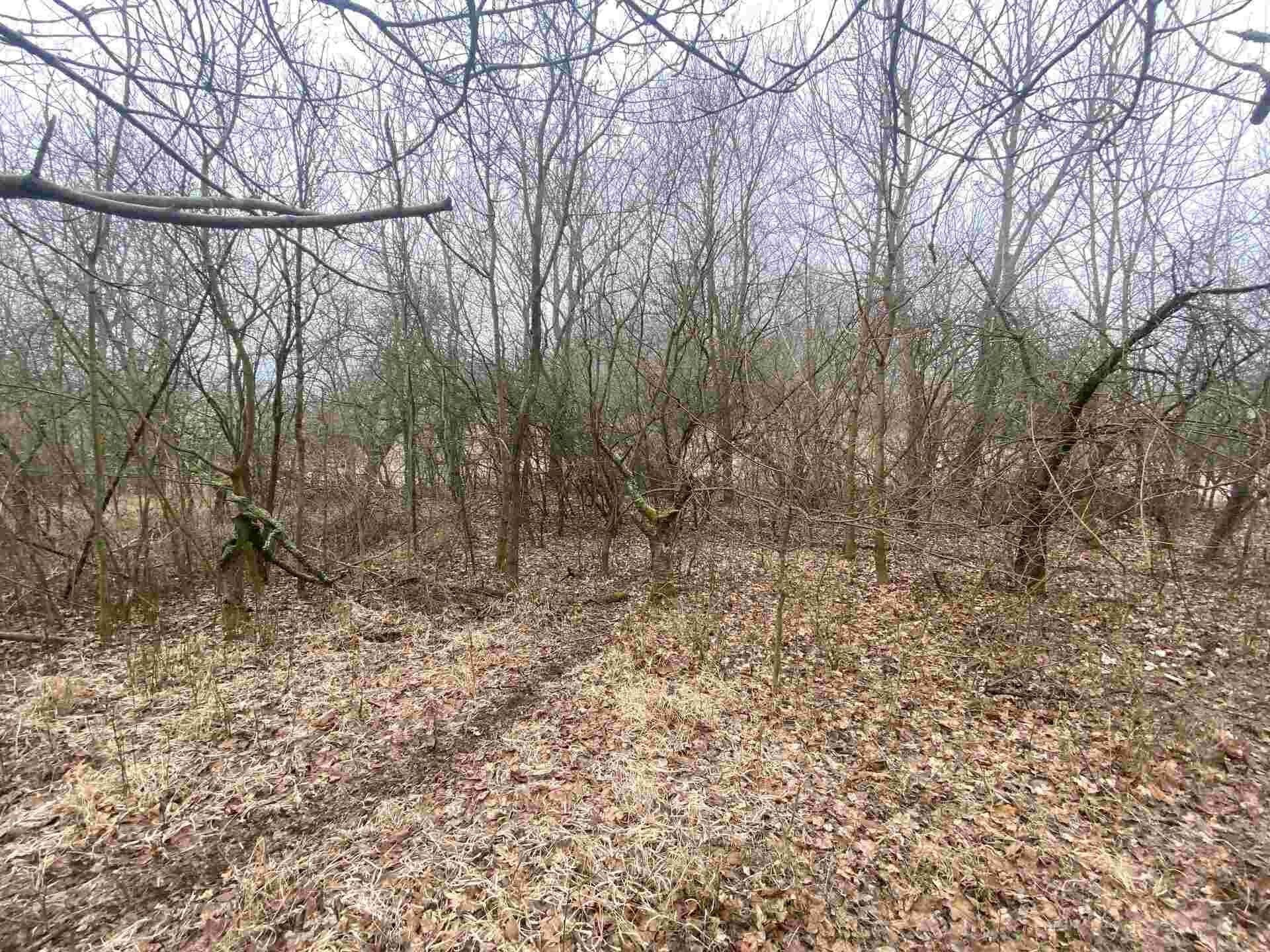 Prodej pozemek - Medvědice, Třebenice, 4 m²